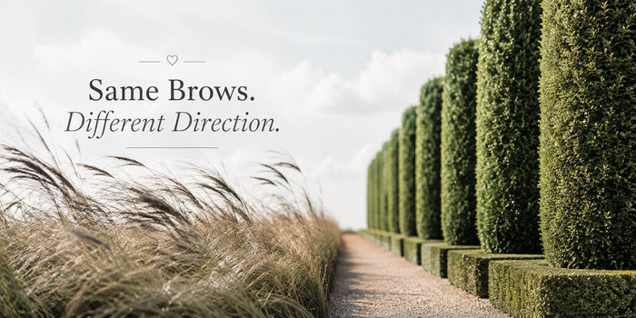 What Is Brow Lamination? The Treatment That Makes People Look in the Mirror and Say, "Why Didn't I Do This Sooner?"